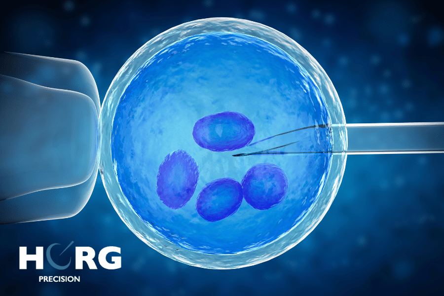 Cryoconservation ovocytes - fertilité et cancer