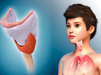 Thyroide (2) Thyroide (2)